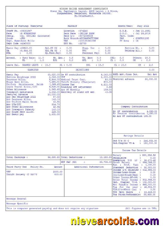 Wisdom Bridge Management Consultants payslip 3